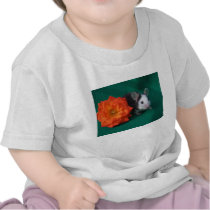 Black White Mouse and Orange tea rose