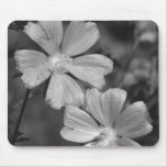 Black & White Mouse Pads