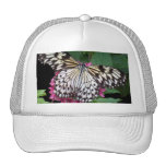 Black White Patterned Butterfly Hats