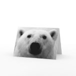 Black & White Polar Bear Cards