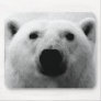 Black & White Polar Bear Mousepads
