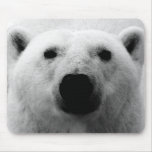 Black & White Polar Bear mousepads