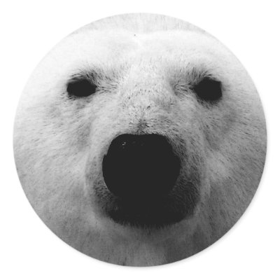 Black & White Polar Bear Round Stickers by made_in_atlantis