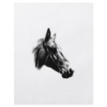 Black & White Pop Art Horse flyers