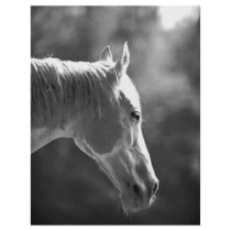 Black & White Pop Art Horse Flyers