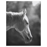 Black & White Pop Art Horse flyers