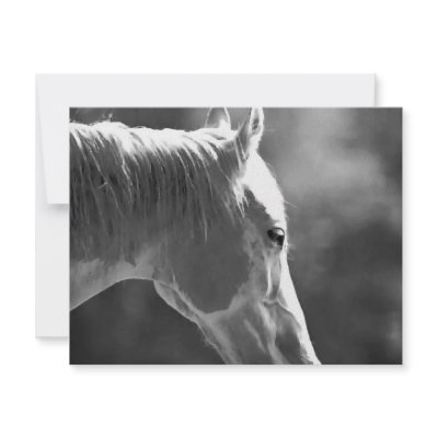 Black & White Pop Art Horse Personalized Invites by made_in_atlantis