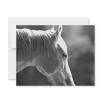 Black & White Pop Art Horse Personalized Invites
