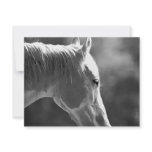 Black & White Pop Art Horse invitations