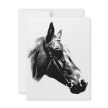 Black & White Pop Art Horse Custom Invite