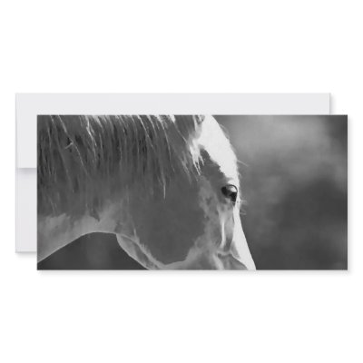 Black & White Pop Art Horse Photo Greeting Card by made_in_atlantis