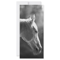 Black & White Pop Art Horse Personalized Rack Card