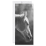Black & White Pop Art Horse Personalized Rack Card