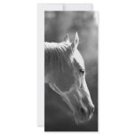 Black & White Pop Art Horse rack cards