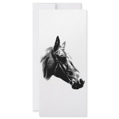 Black & White Pop Art Horse Custom Rack Cards by made_in_atlantis