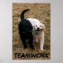 Black & white puppies poster
