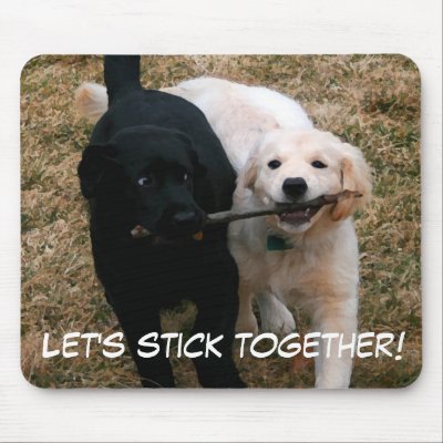 Black & white puppies "stick together" mouse pad by heathenos