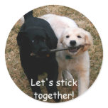 Black & white puppies "stick together" stickers