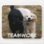 Black & white puppies "teamwork" mouse pad