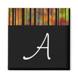 Black & White Rainbow Lines Magnet