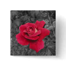 Black White Red Rose Pinback Button