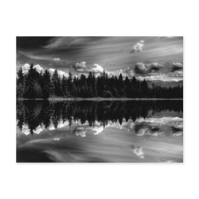 Black & White Reflections Post Card by kcranmerart