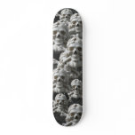 Black White Skulls & Bones Skeleton Skateboard