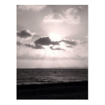 Black & White Sunbeams Postcards