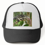 Black & White Tegu Hat