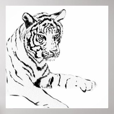 Black & White Tiger Sketch Poster by donnabellas