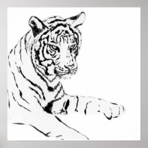 Black & White Tiger Sketch Poster