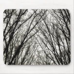Black & White Trees mousepad