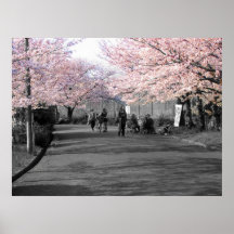 black + white w/ pink sakura poster