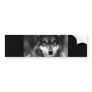 Black & White Wolf