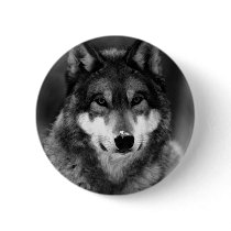 Black & White Wolf