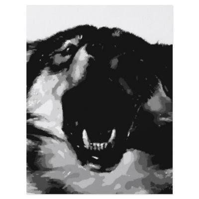 Black & White Wolf by made_in_atlantis