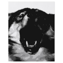 Black & White Wolf