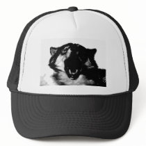 Black & White Wolf