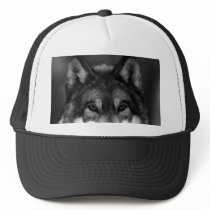 Black & White Wolf