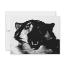 Black & White Wolf