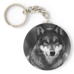 Black & White Wolf