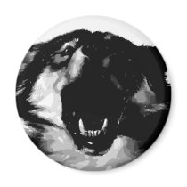Black & White Wolf
