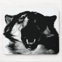 Black & White Wolf