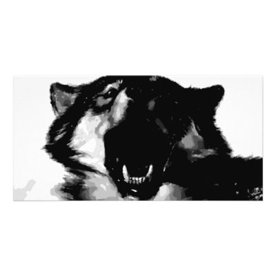 Black & White Wolf by made_in_atlantis