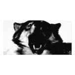 Black & White Wolf photo cards