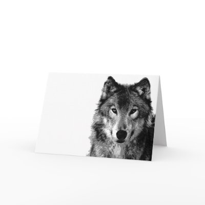 Black & White Wolf Portrait by hizli_art