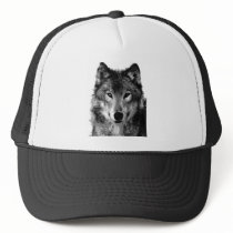 Black & White Wolf Portrait