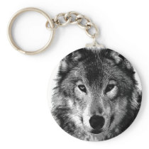 Black & White Wolf Portrait