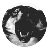 Black & White Wolf