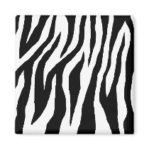 Black & White Zebra Print